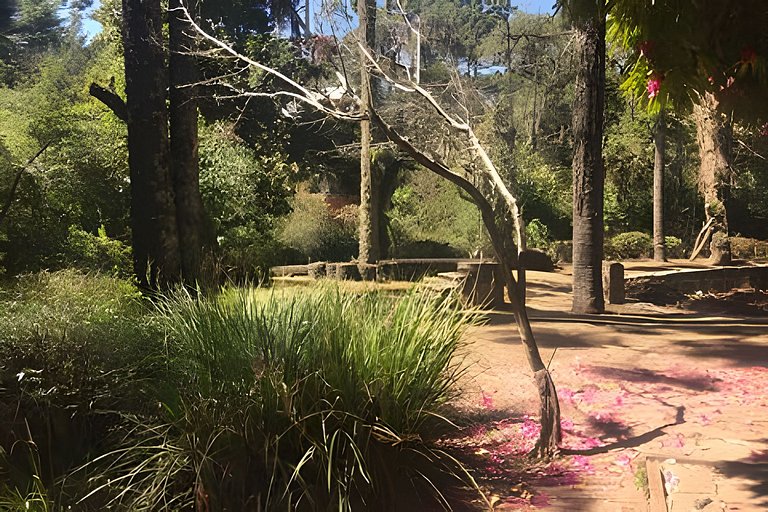 Cabana Suspensa na Natureza - Região Turística