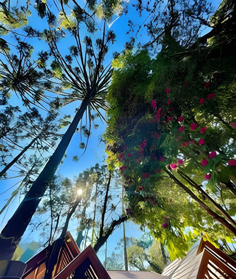 Cabana Suspensa na Natureza - Região Turística