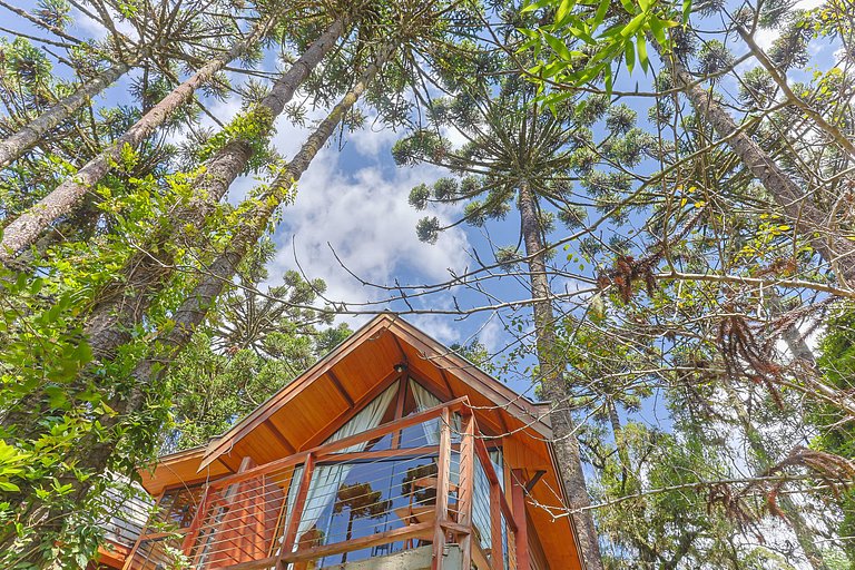 Cabana Suspensa na Natureza - Região Turística